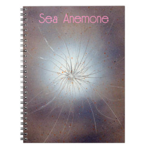 Anemon Notizblock