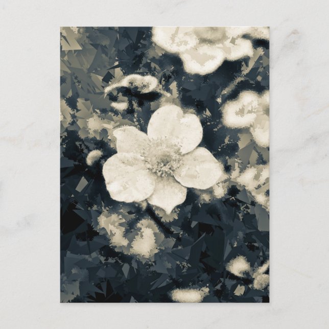 Anemon Postkarte (Vorderseite)