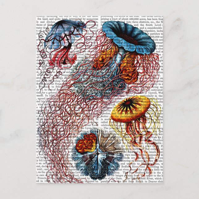 Anemon Postkarte (Vorderseite)