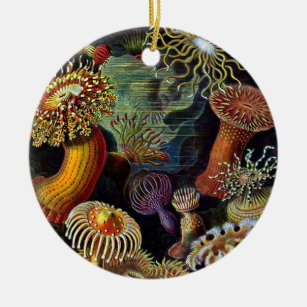 Anemone aus dem Untersee-Klassischen Rundaufkleber Keramik Ornament