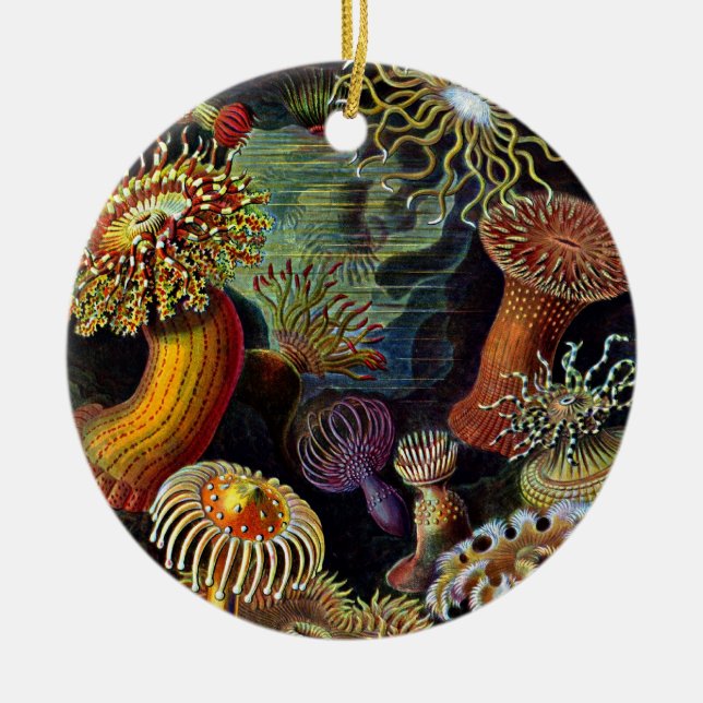Anemone aus dem Untersee-Klassischen Rundaufkleber Keramik Ornament (Vorne)