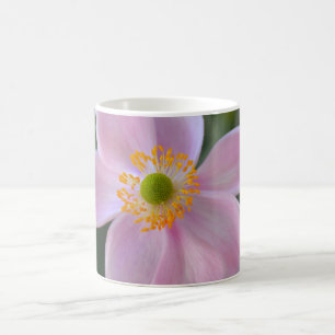 Anemone-Blume Kaffeetasse