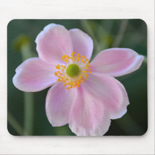 Anemone-Blume Mousepad