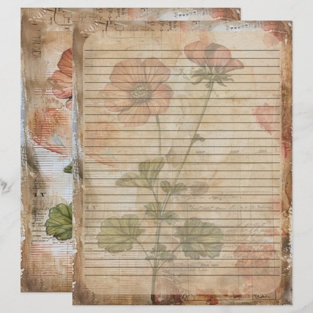 Anemone Blume Old Manuscript Briefbogen (Vorne/Hinten)