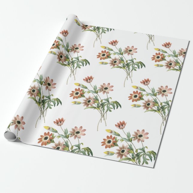 Anemone Blume Pattern Geschenkpapier (Ungerollt)