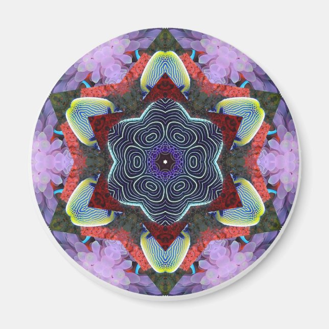 Anemone City Magnet (Vorne)