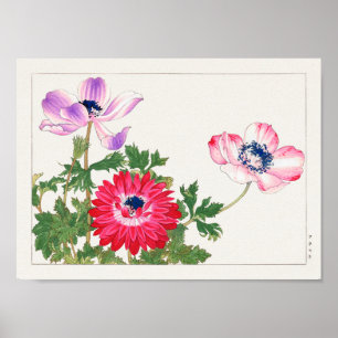 Anemone coronaria von Tanigami Konan Poster