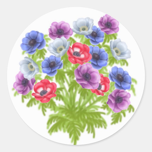 Anemone de Caen Garden Blume Sticker (Vorderseite)