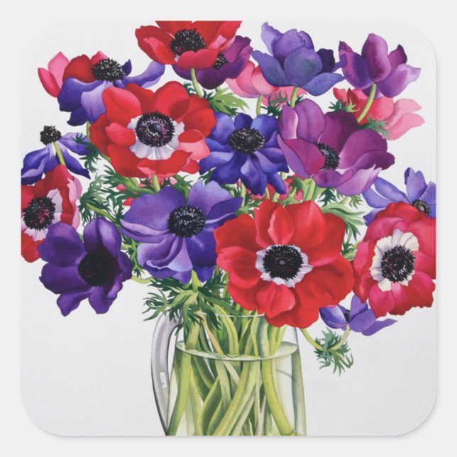 Anemone in einem Glass Jug Quadratischer Aufkleber (Vorderseite)