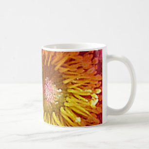 Anemone Kaffeetasse