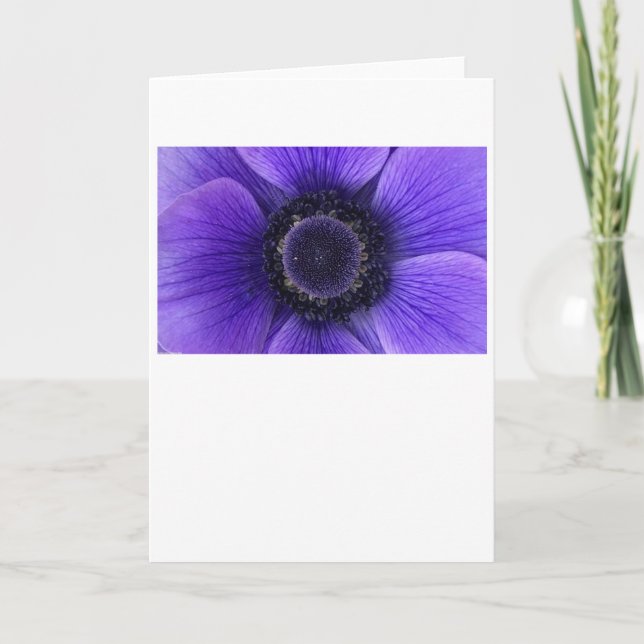 Anemone, Karte (Vorderseite)