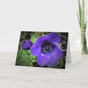 Anemone, Karte