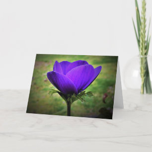 Anemone, Karte