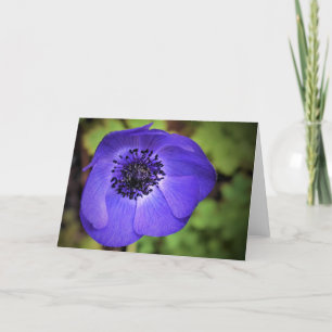 Anemone, Karte