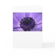 Anemone, Karte