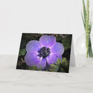 Anemone, Karte