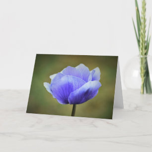 Anemone, Karte