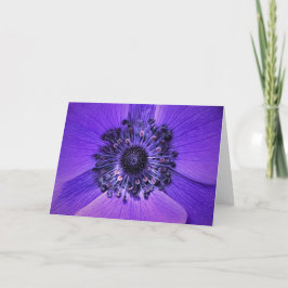 Anemone, Karte
