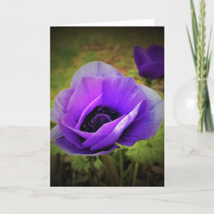 Anemone, Karte