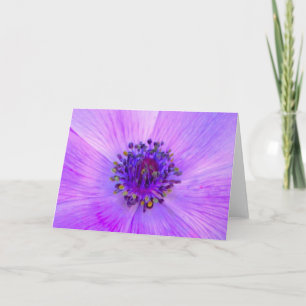 Anemone, Karte