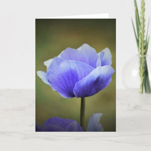 Anemone, Karte