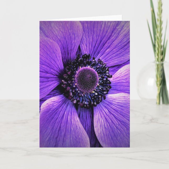 Anemone, Karte (Vorderseite)