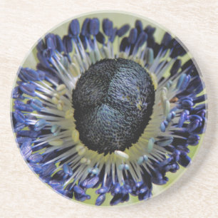 Anemone Mistral Panda Getränkeuntersetzer