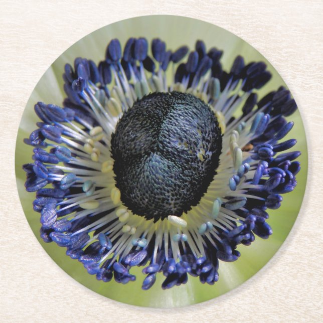 Anemone Mistral Panda Runder Pappuntersetzer (Vorderseite)