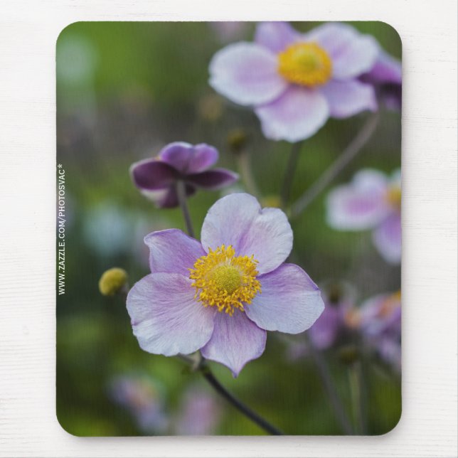 Anemone Mousepad (Vorne)