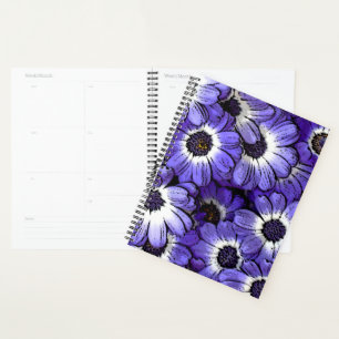 Anemone Planer