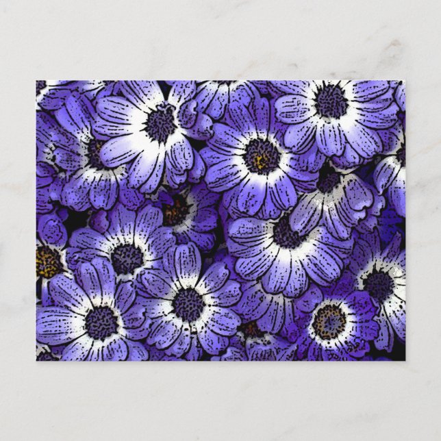 Anemone Postkarte (Vorderseite)
