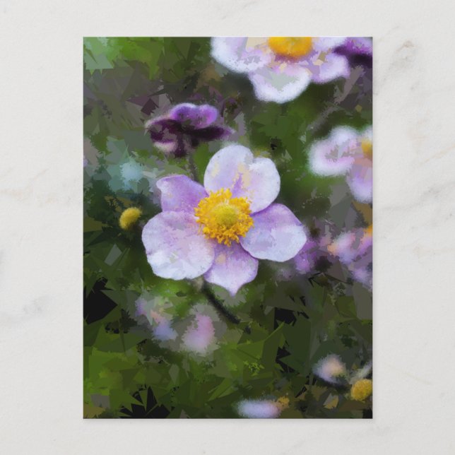 Anemone Postkarte (Vorderseite)