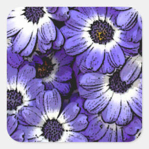 Anemone Quadratischer Aufkleber