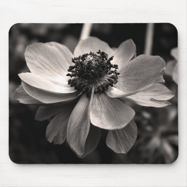 Anemone Sepia Blumenfotografie Mauskissen Mousepad (Vorne)