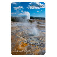 Anemone und alte treue Geysers Eruptionen