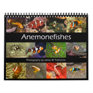 Anemonefishing Wall Calendar von J.W. Vater. Kalender