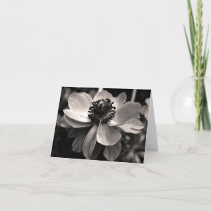 Anemonen-danken BlumenFoto-Beileid Ihnen Dankeskarte