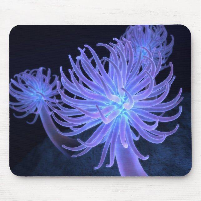 Anemonen Mousepad (Vorne)