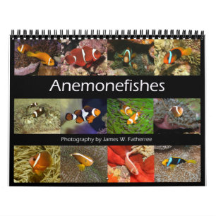 Anemonenfische Wandkalender von J.W. Fatherree.