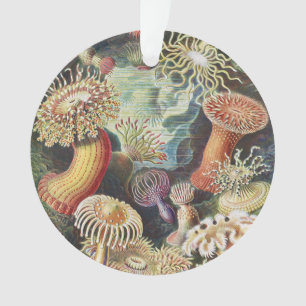 Anémones de mer de Haeckel Collage d'art de vie na