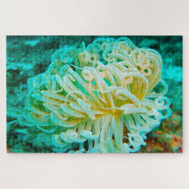 Anemonie