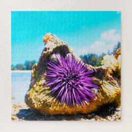 Anemonie