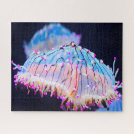 Anemonie