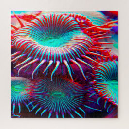Anemonie