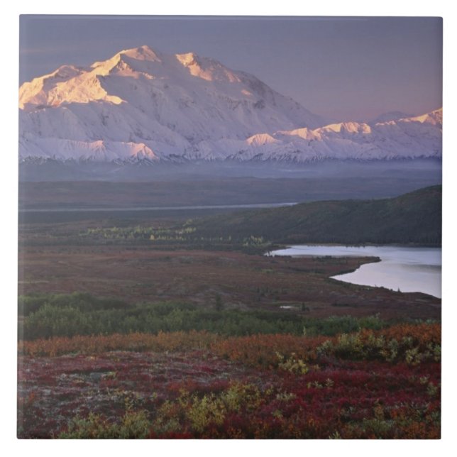 Anfang September im Nationalpark Denali aufgenomme Fliese (Vorderseite)