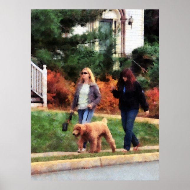 ANFANG UNTER $20 - Frauen laufen einen Hund Poster (Vorne)