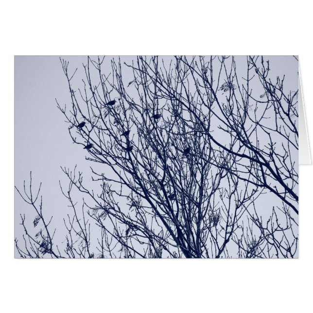 Anfänge in einem Baum (Vorderseite (Horizontal))