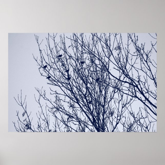 Anfänge in einem Baum Poster (Vorne)