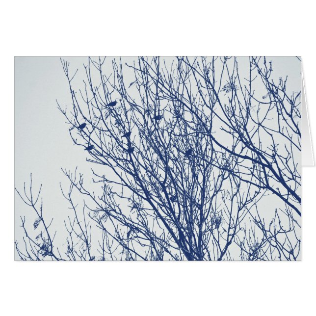 Anfänge in einem Tree - Cyanotypeffekt (Vorderseite (Horizontal))