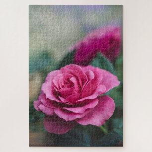 Anfechtende Rosen